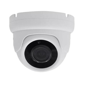 4 in 1 1080P 2.1MP 2.8-12mm Motorized Lens 24IR Dome Starvis Motorized Camera (44s52w)