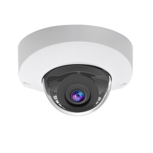 HD-IP 6MP 2.8mm LP VP Dome Camera (54s19)